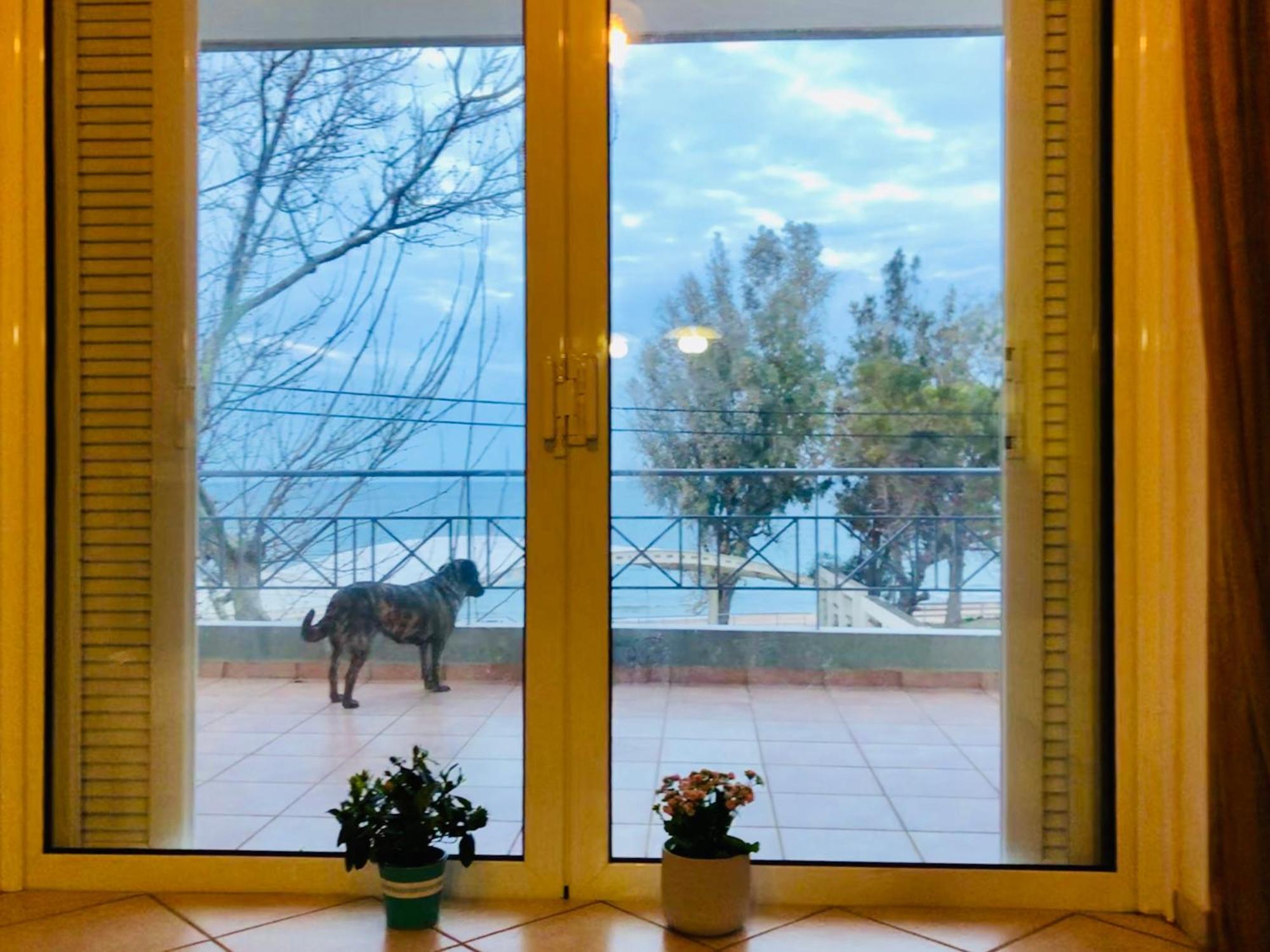 Chloe'S Sunrise Beach House Villa Atena Exterior foto